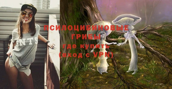стафф Козельск