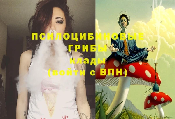 стафф Козельск