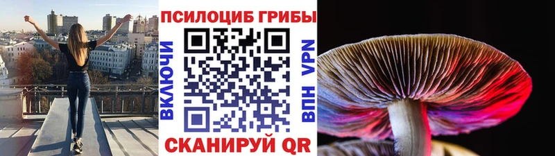 Галлюциногенные грибы Psilocybine cubensis Купить Кубинка